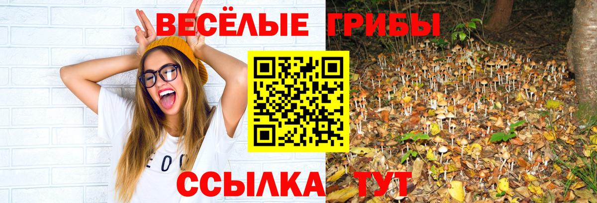 Псилоцибиновые грибы мухоморы Алексеевка
