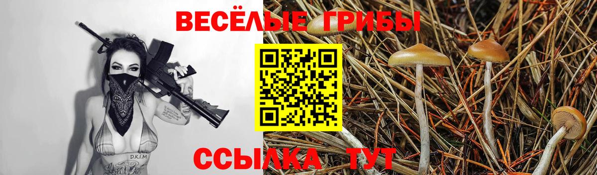 Галлюциногенные грибы Magic Shrooms  Галлюциногенные грибы Psilocybine cubensis  Алексеевка  Вход с VPN 